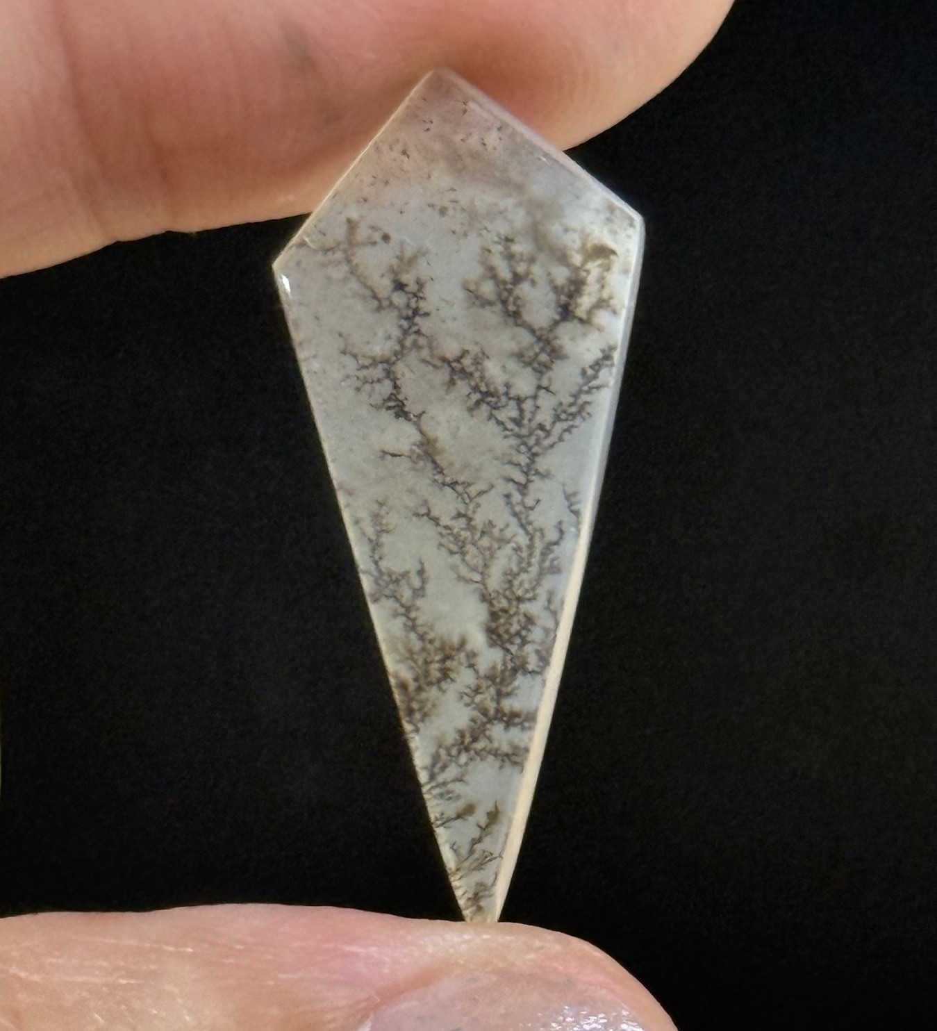 5.4ct 30x13x2mm Fine Dendritic Agate Kite Shape Cabochon Loose Picture Stone