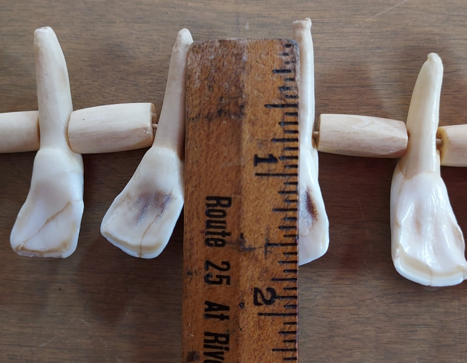 REAL Natural Vintage Tribal Ethnic Necklace Tooth / 20 TEETH + Animal BONES