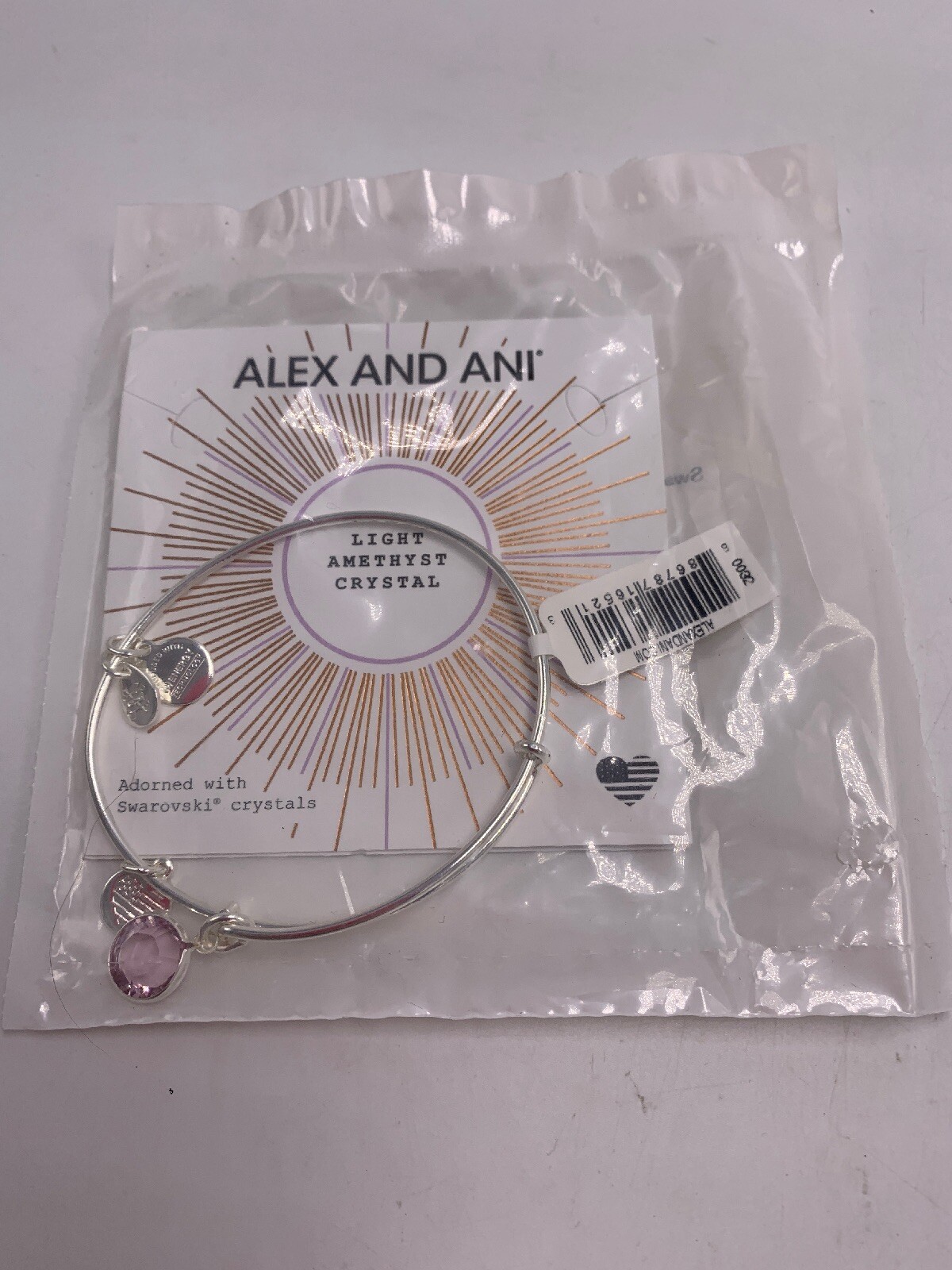 Alex and Ani June Color Code Amethyst Bangle Bracelet Shiny Silver T1a