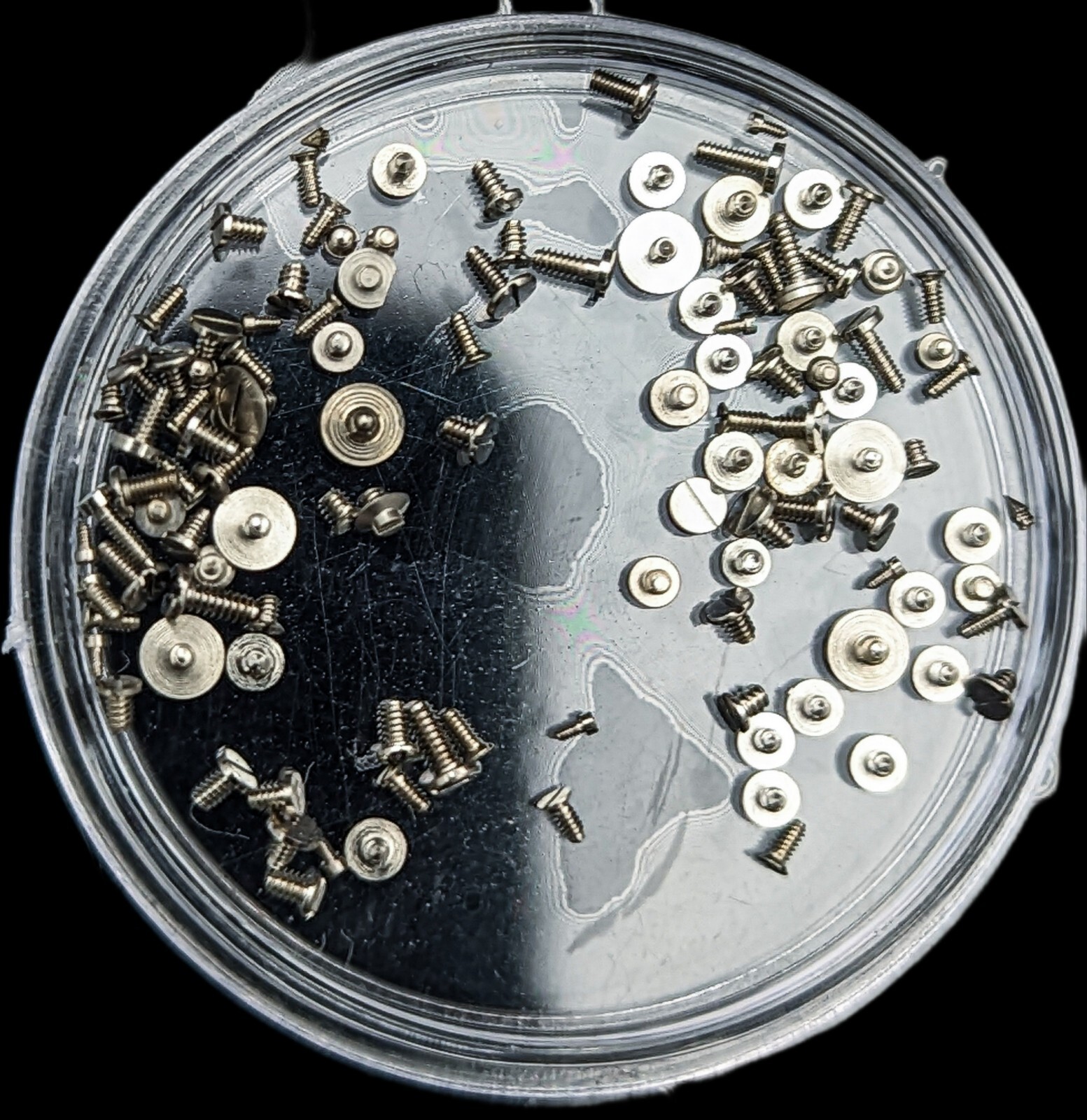 100pcs Watch Movement Screws — Mixed, Various Types & Sizes