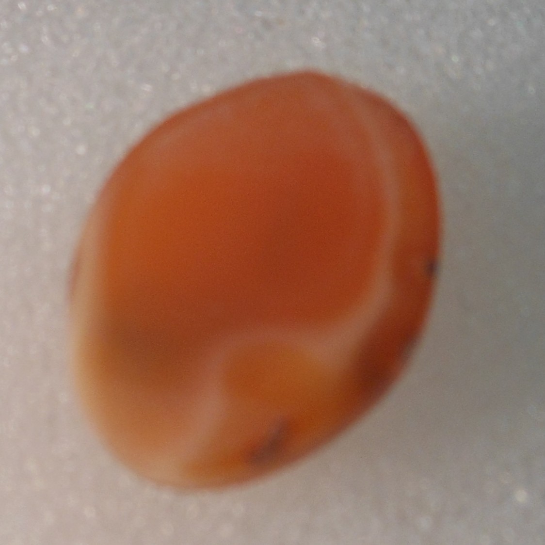 4.90ct Orange Mexican Fire Opal, 14.6×11.4×4.5mm, Bonanza Sale