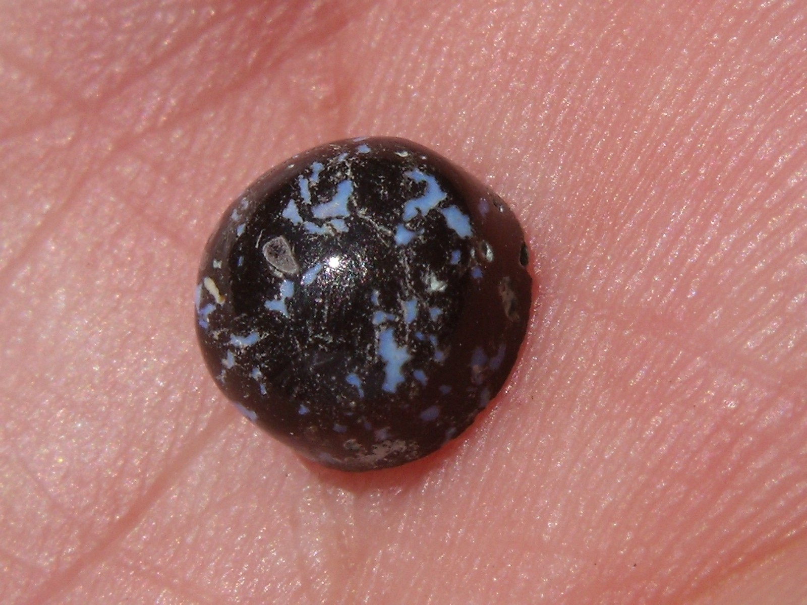 1.60 Ct. Mexican Leopard Opal Cabochon