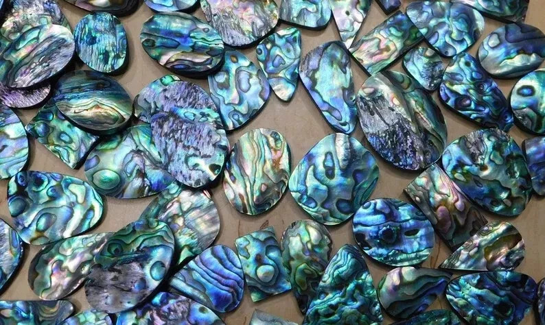 100% Natural Abalone Shell Good Quality Genuine Stone Free Form Lot