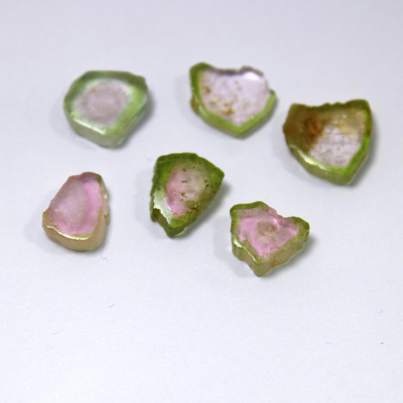 12.5 Carat Natural Smooth Watermelon Bi-Color Tourmaline Slice Shape 6 Piece Lot