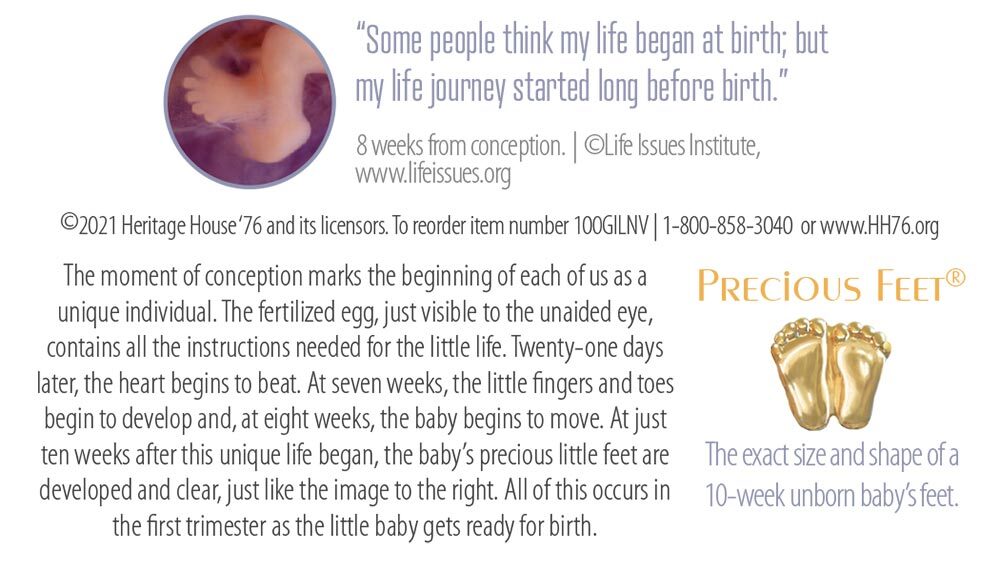 Precious Feet, Gold-Colored, Life is Beautiful Card Jewelry, Lapel Pin