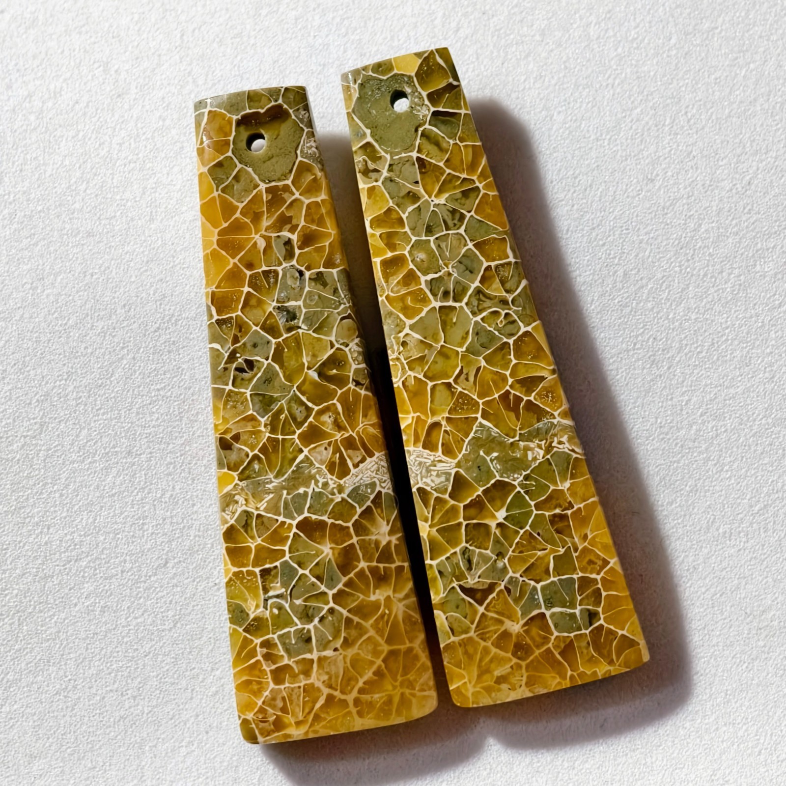 61 Cts Natural Fossilized Coral Drilled Pair Cabochon Gemstone 45.4×13.9 MM