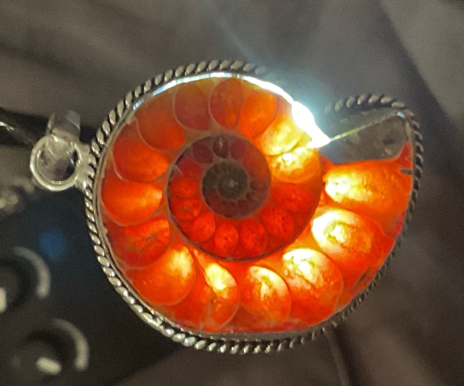 NATURAL Ammonite Fossil 925 Silver Pendant Spiral Shell 33x28mm FREE SHIPPING