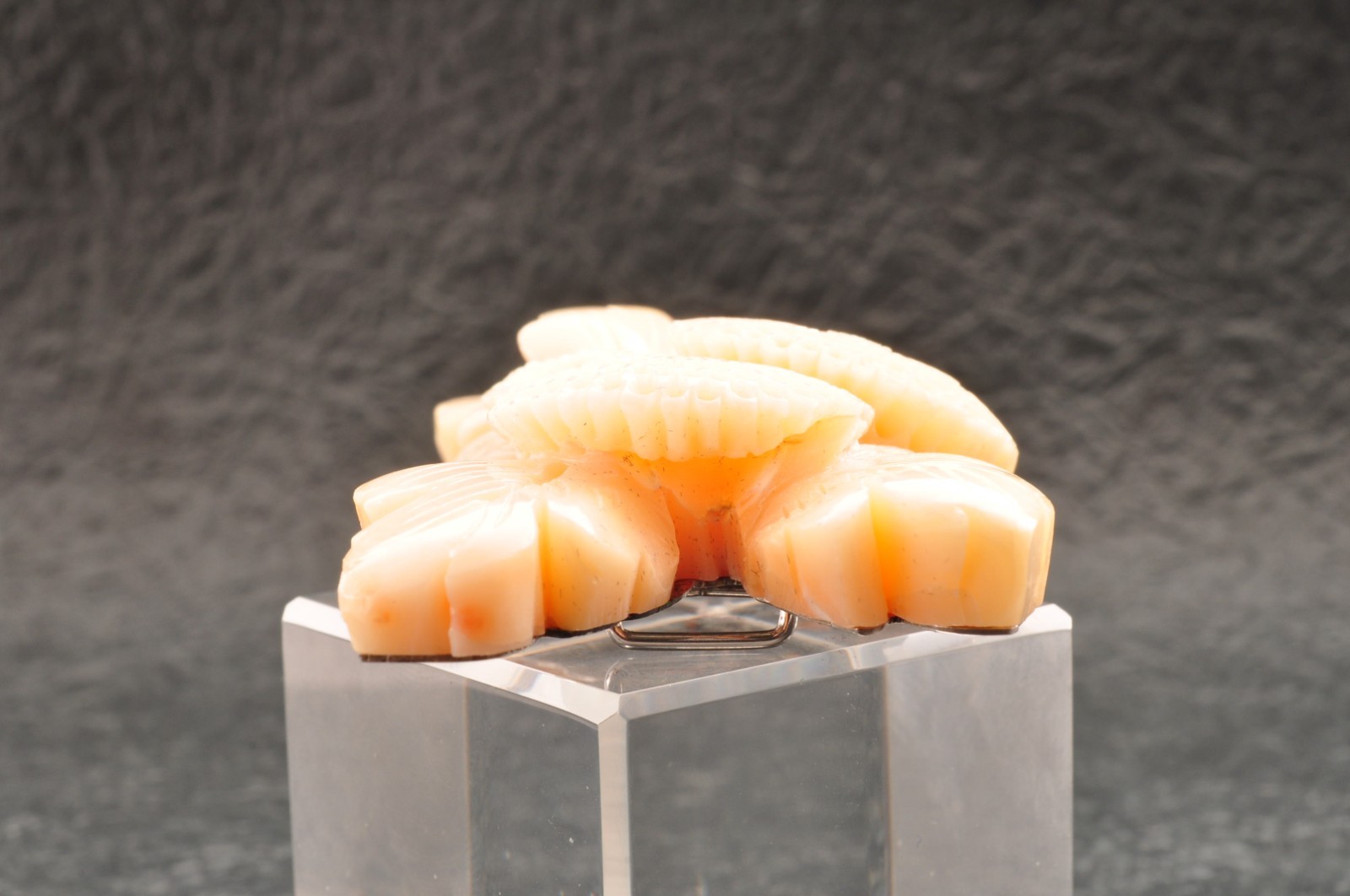 Vintage angel skin coral OBIDOME, “chrysanthemum” Certificate, (69mm 266.0ct).