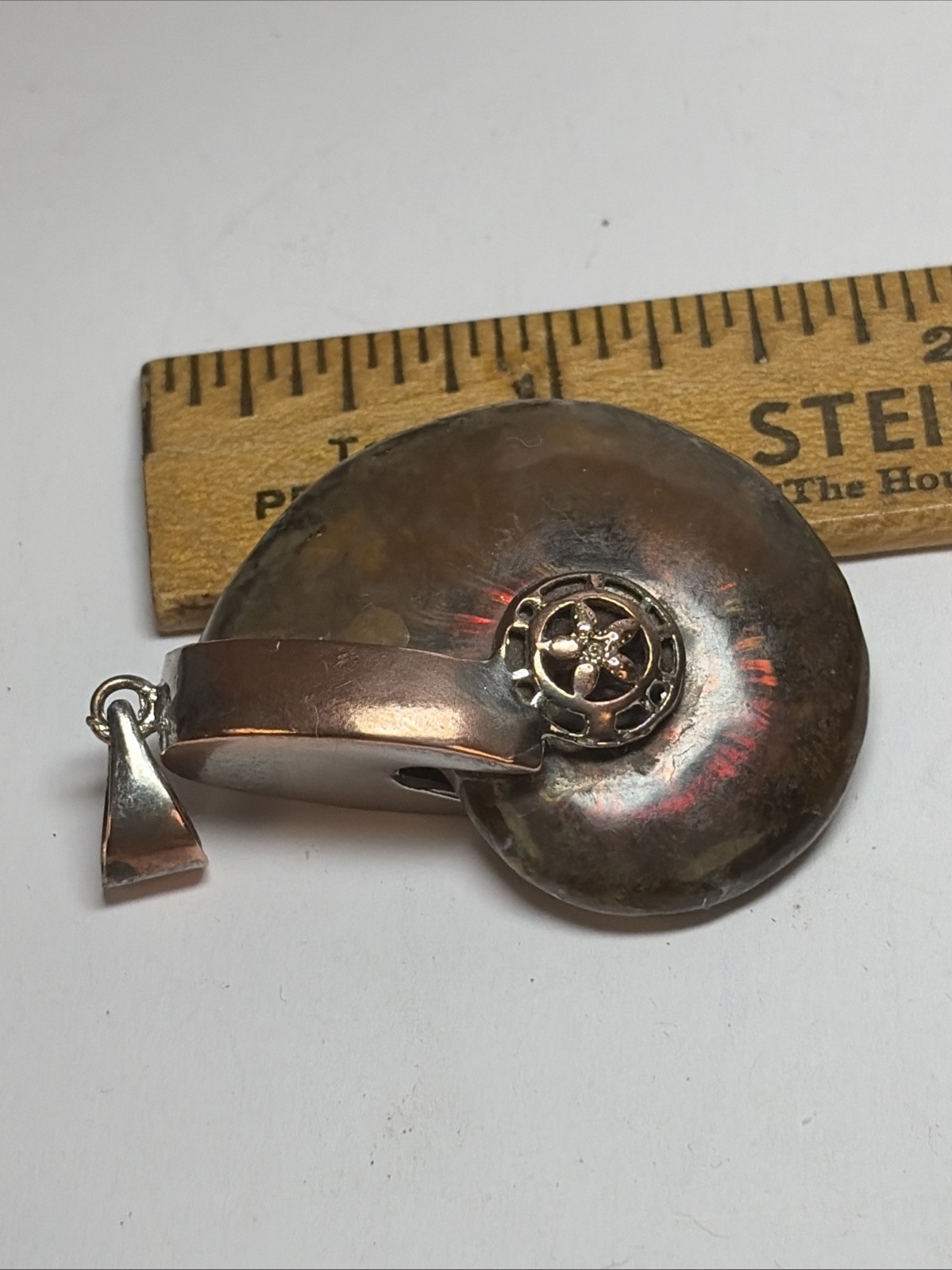 2” Fossil Rainbow Ammonite Pendant Set In Copper