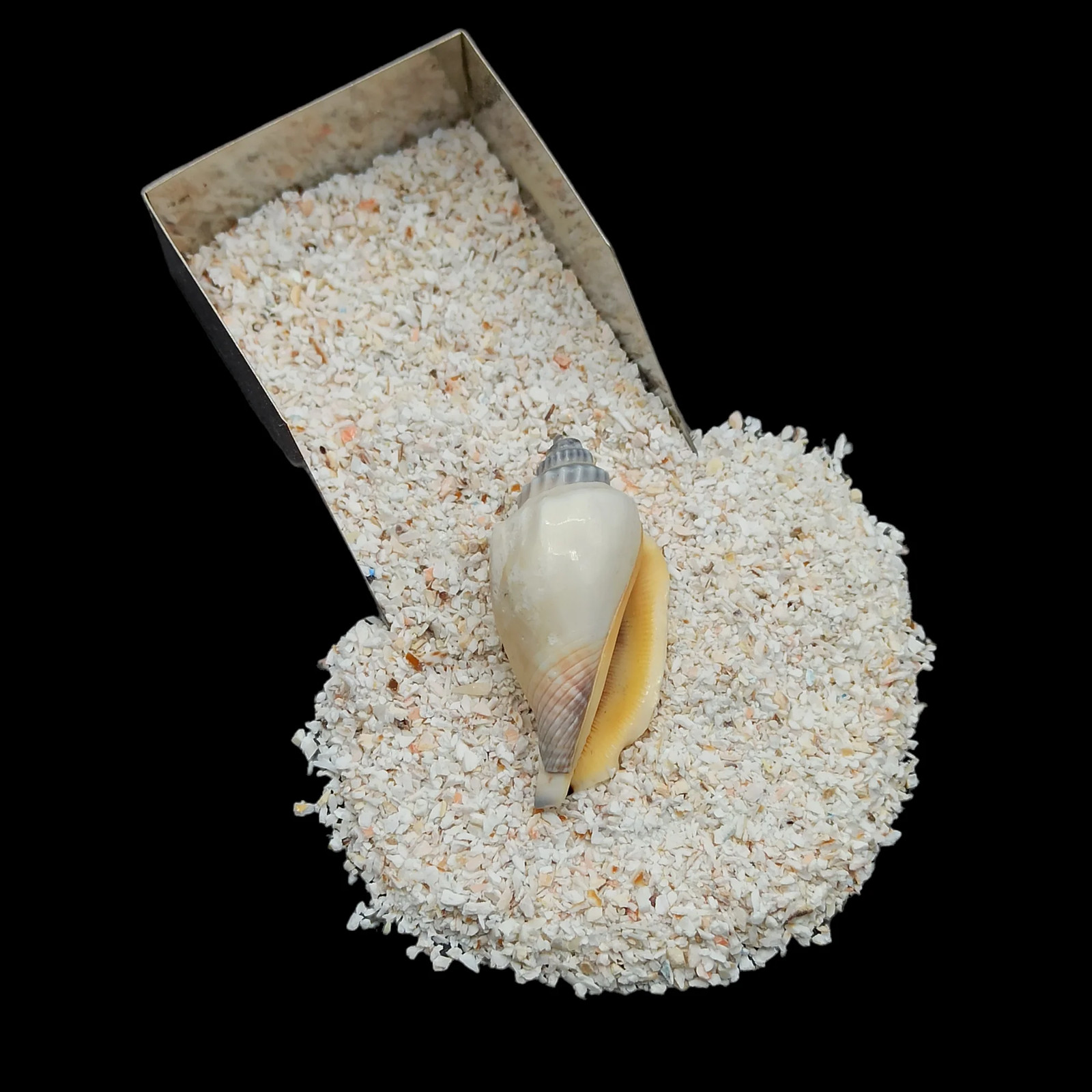 Fossil Shell 0.5-1mm Crushed Gemstone for Resin Inlay Jewelry