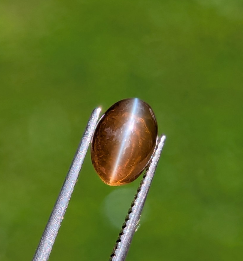 Natural Chrysoberyl Cat’s Eye 1.35ct Honey | Sharp Eye | Glass Body Ceylon