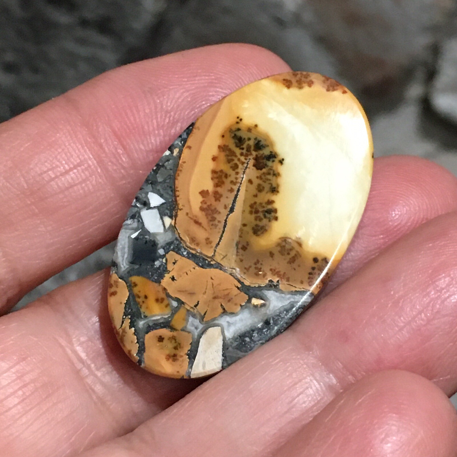 35.5×21.3×5.3mm Scenic Maligano Jasper Oval Cabochon Collectors Picture Stone
