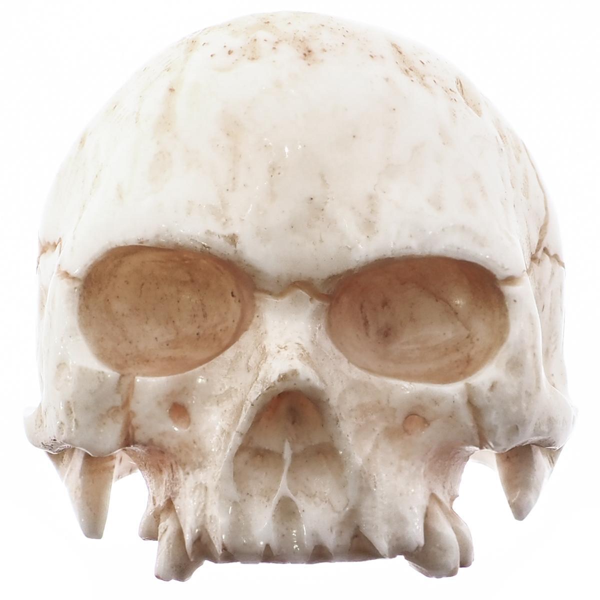 1″ Mens Biker Jawless Skull Hand Carving Antique Stained Bison Bone Ring