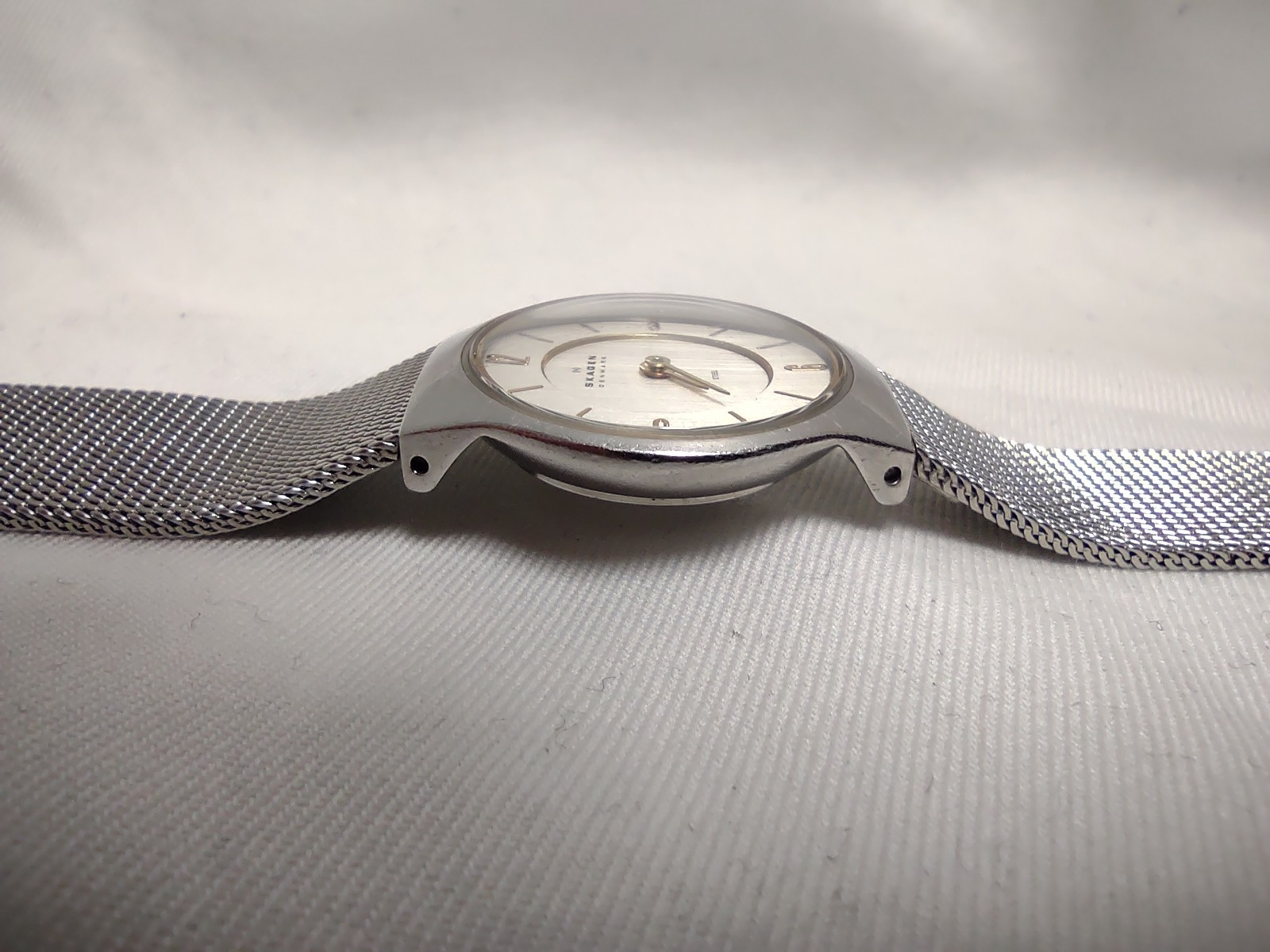 Skagen Quartz Silver Dial Stainless Steel Mesh Band Water Resistant Ladies Watch