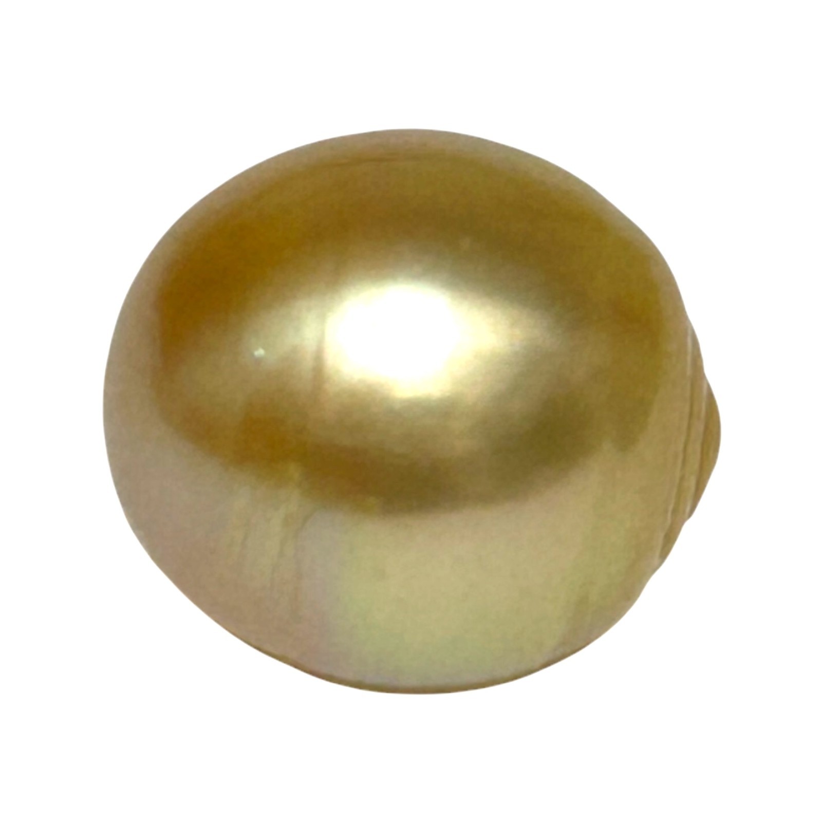 Giant 15.2 x 16.6mm 26.7 Carats Natural Golden Philippines South Sea Pearl Loose
