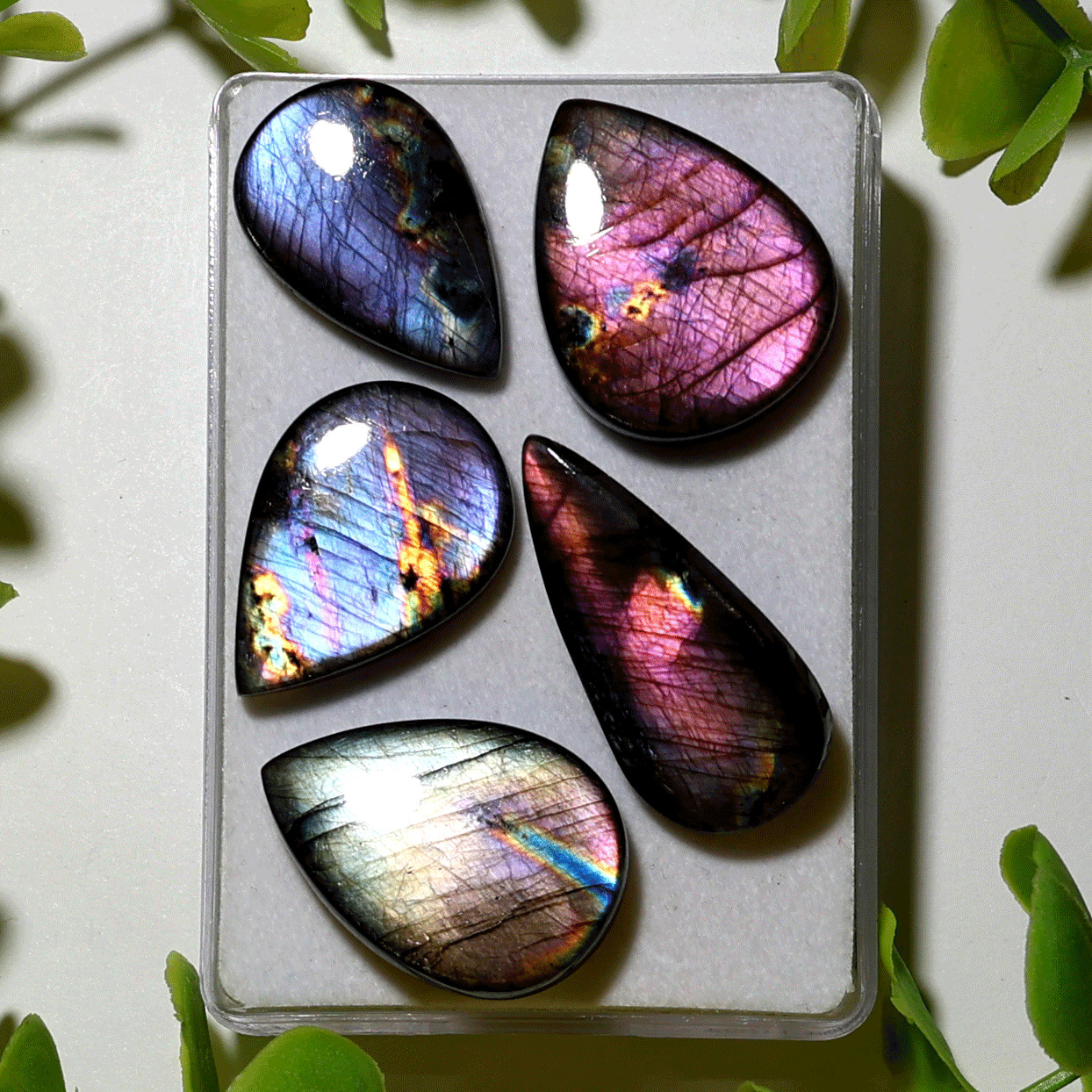 Finland 5 PC Natural Spectrolite Hi-Grade 29mm-38mm Teardrop Cabochon Gemstones