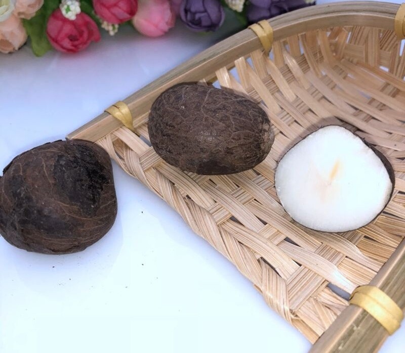 2 Pcs Carved Raw Materials Big Tagua Nut Vegetable Jewelry Art Hand
