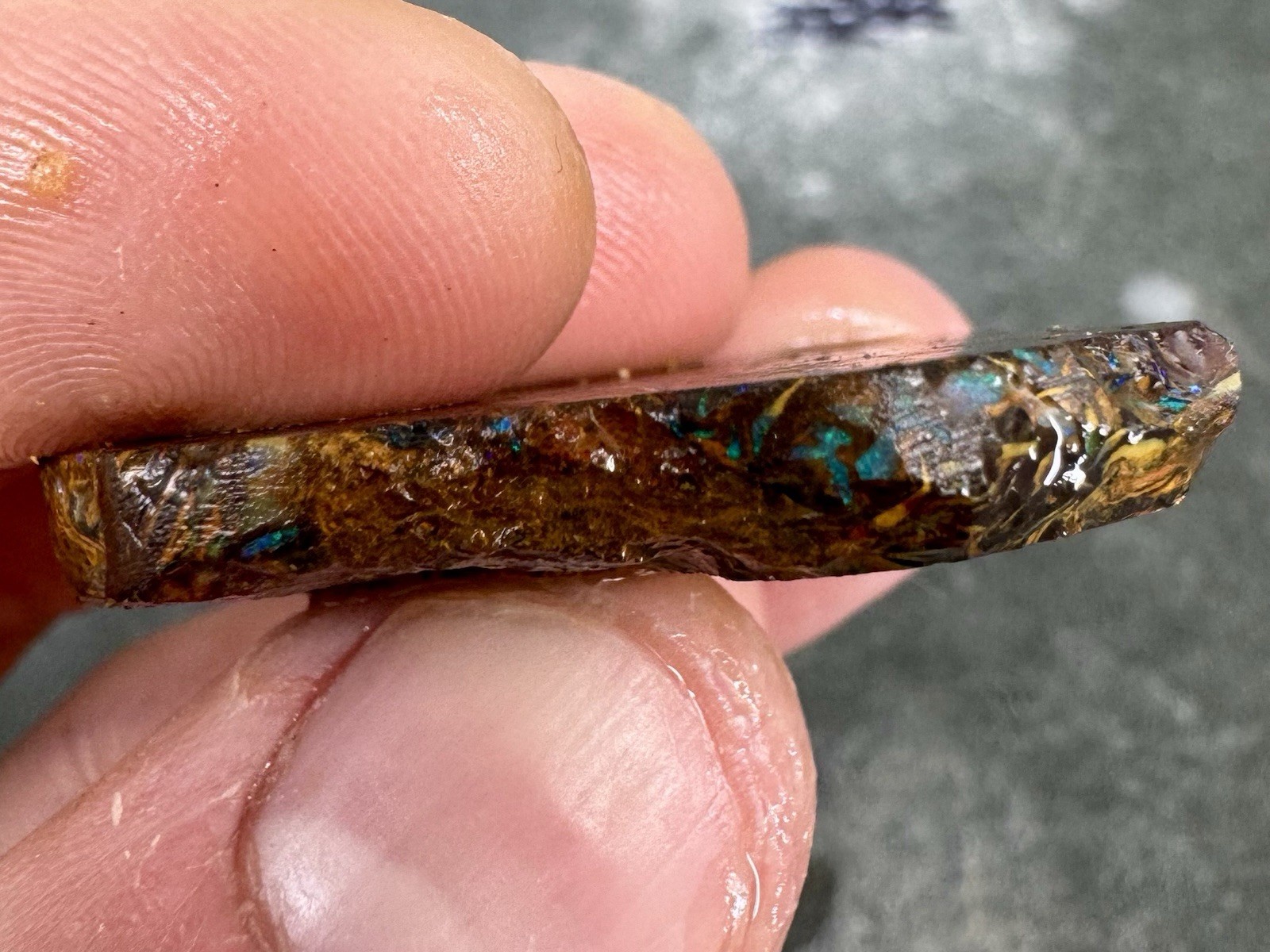 71ct Koroit Boulder Opal Slab Tribal Matrix Blues Greens Australian