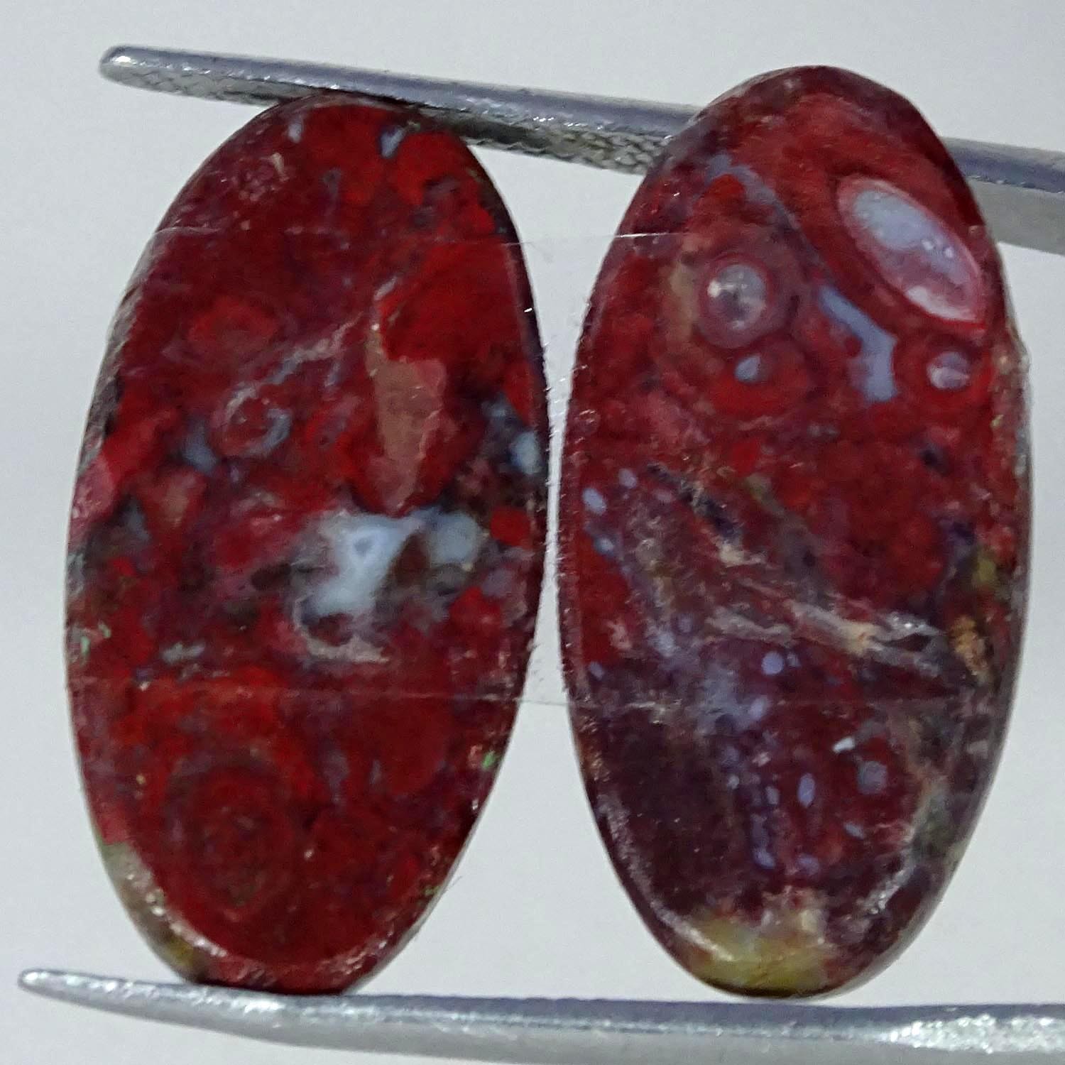 20.50Cts 100%Natural Palm Root Agate Pair Oval Cabochon Gemstone 12X24X4MM