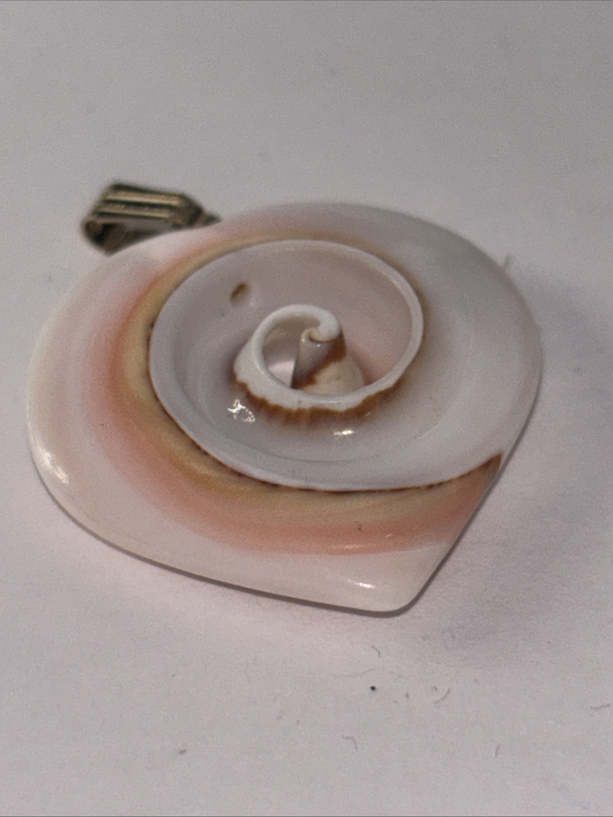 Natural Seashell Heart Shaped Nautilus Style Spiral Pendant Gold Tone Clasp