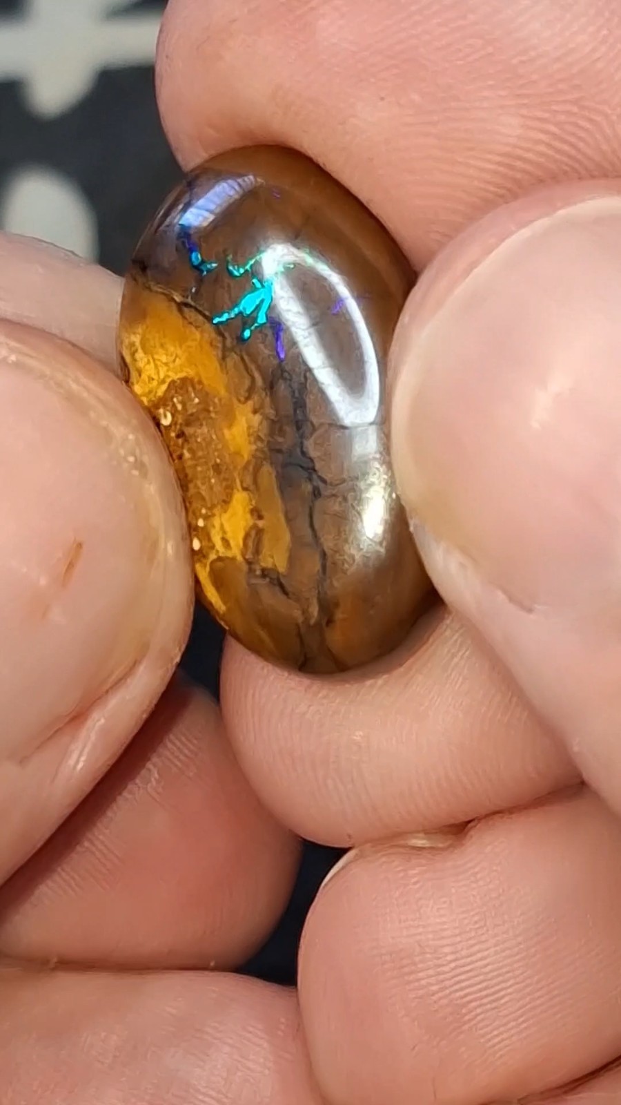 17.9ct Queensland Boulder Opal. Vibrant streaks of bright green & electric blue