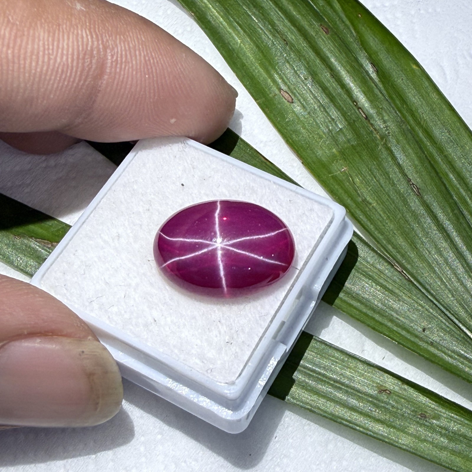 Certified 14.95 Ct Natural Vietnam Star Ruby 16.1×12.3 mm Oval 6-Ray Gemstone
