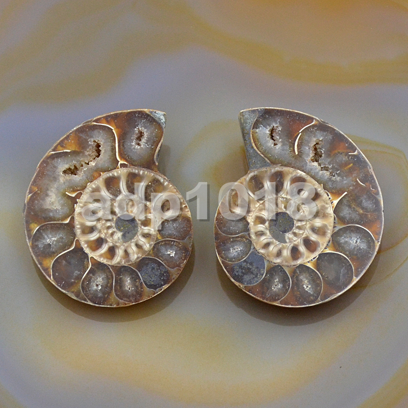 Natural Pair Slice Iridescent Ammonite Fossil Split Polished Madagascar Nopunch