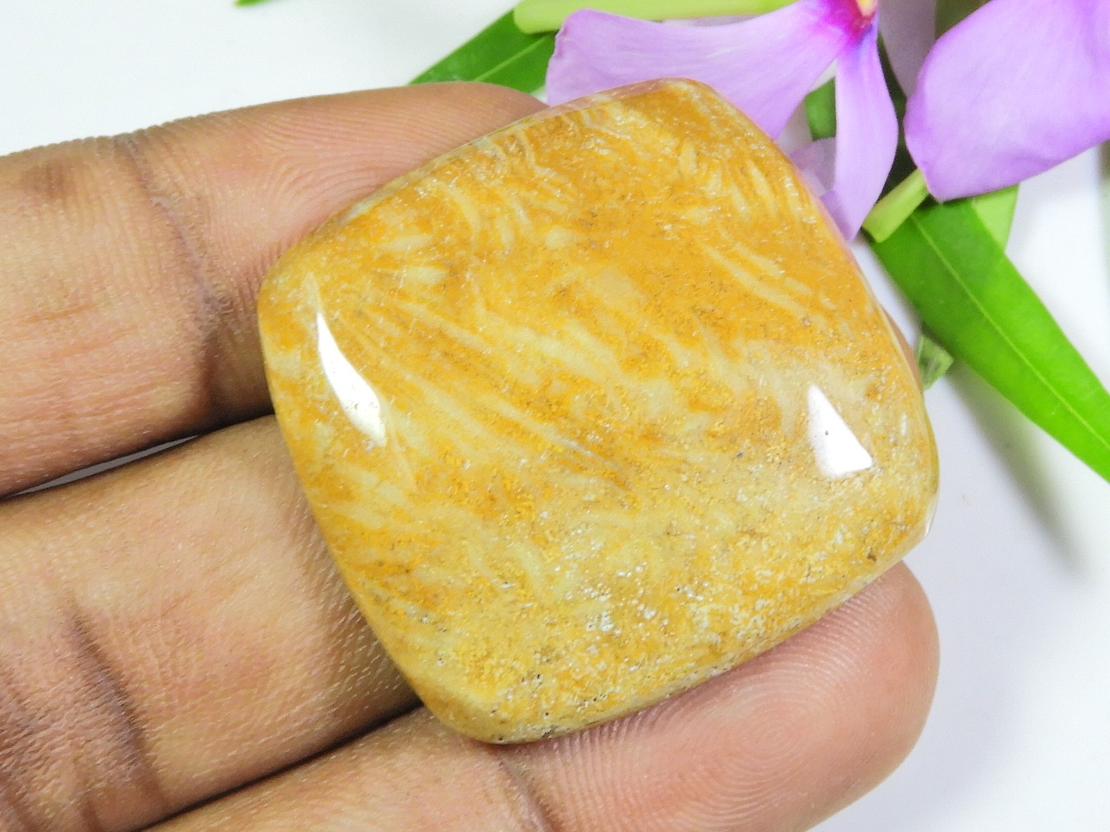 54Cts. Natural Fossil Coral Rectangular Cabochon Loose Gemstone 33X33X05 MM