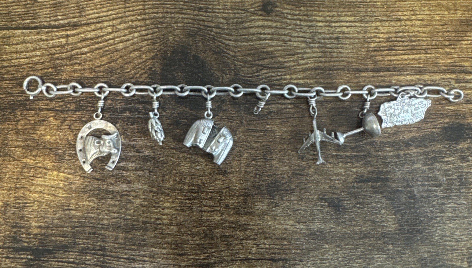 Vintage Estate 925 Sterling Silver Charm Bracelet 6 Charms – 22.4g, 7.25”