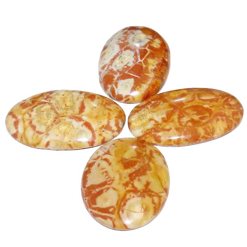 205.60CT A++ 100% Natural BIRD EYE JASPER Oval Cabochon 4 Pcs Lot Loose Gemstone