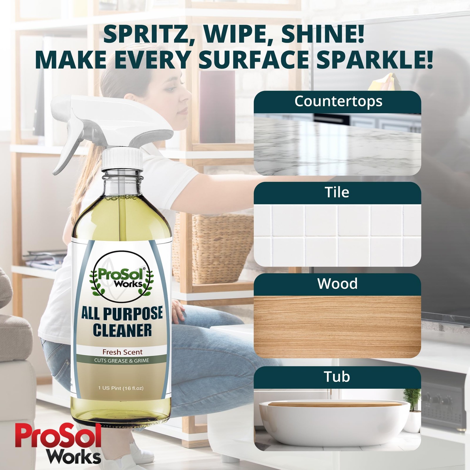 PROSOL WORKS All Purpose Cleaner Cleaning Spray 16 oz – 16 Fl Oz (Pack of 1)