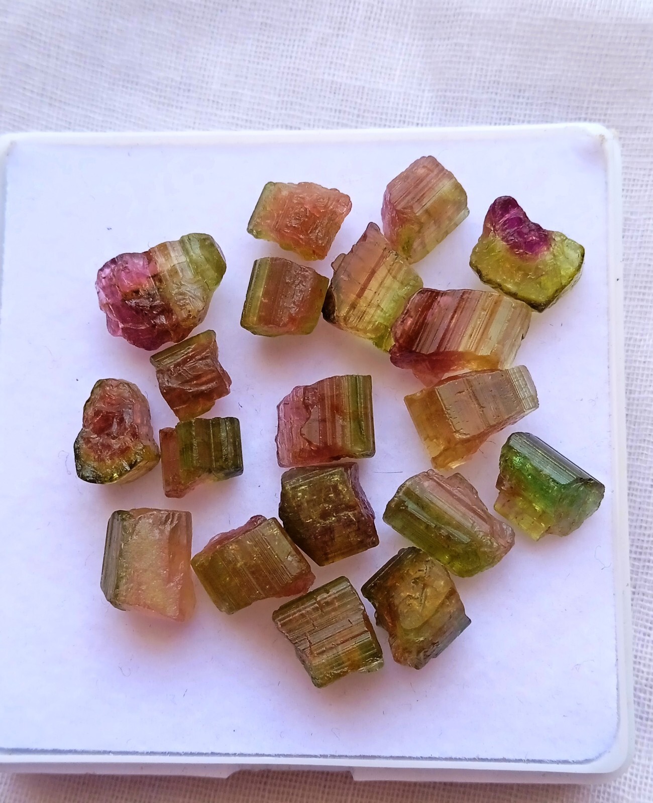 39 Carat Natural Watermelon Bi-Unique Amazing Color Tourmaline Rough 19 Pcs Lot