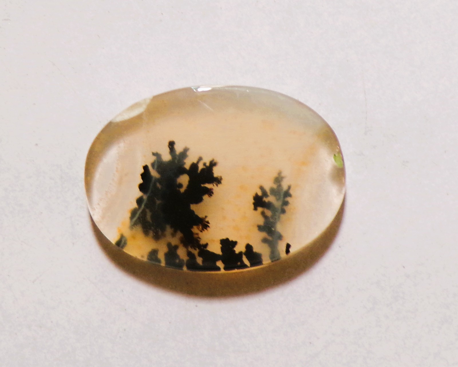 11.70 Cts Natural Shazar Dendritic Agate Cabochon Loose Gemstone 22X16X3.9MM 185