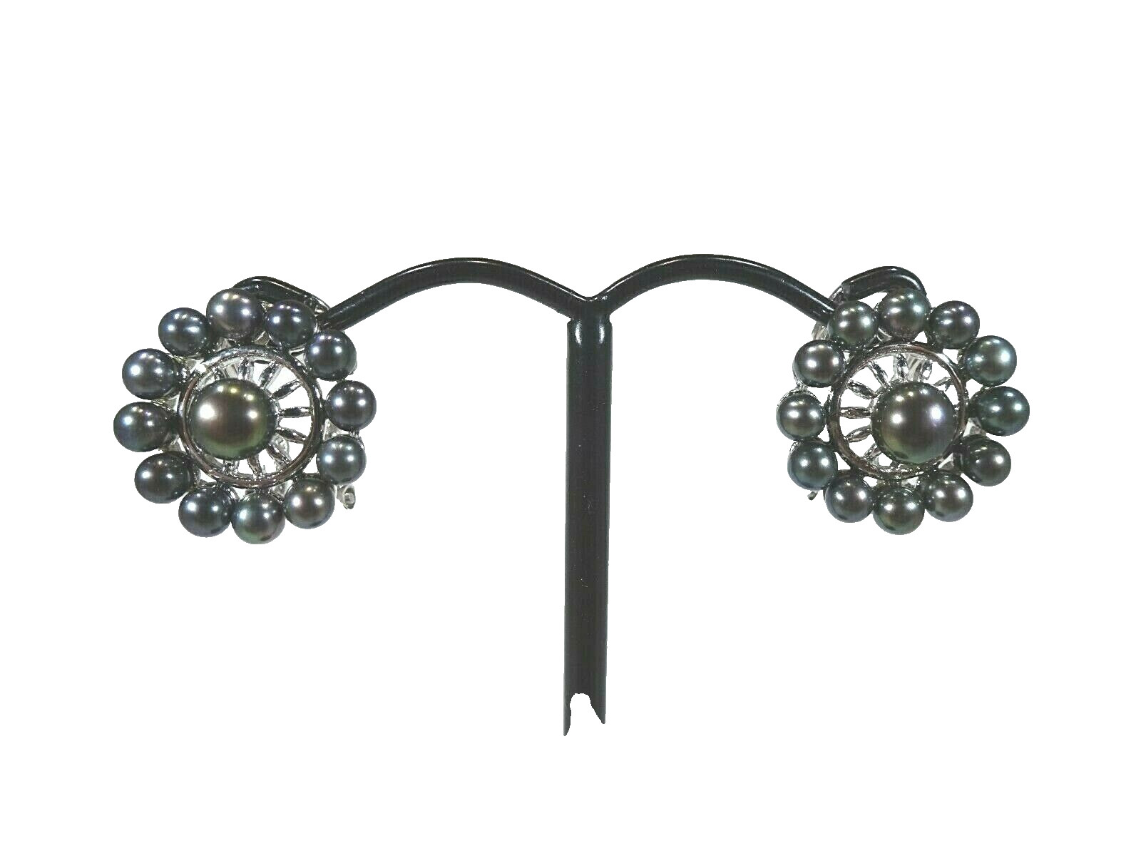 Cultured Freshwater Black Pearl Solid Sterling Silver Omega Back Earrings