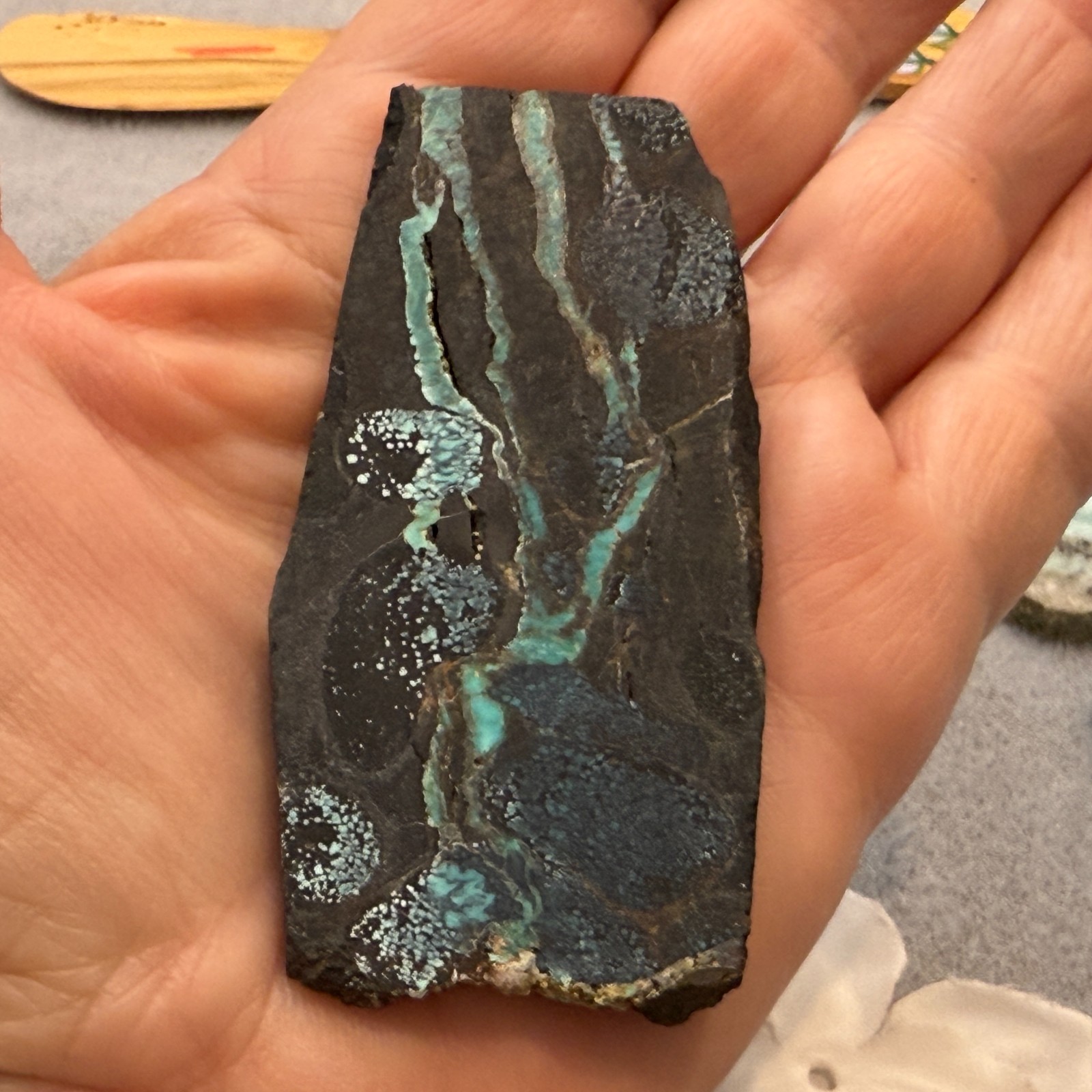 Natural Unpolished Bamboo Mountain Turquoise Slice, 35.6 grams, 178 ct, 27x73mm