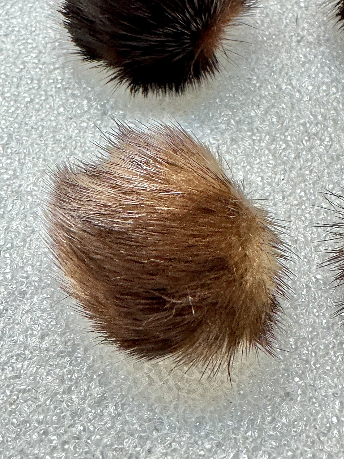Mink Clip On Poof Earrings Sable & Black