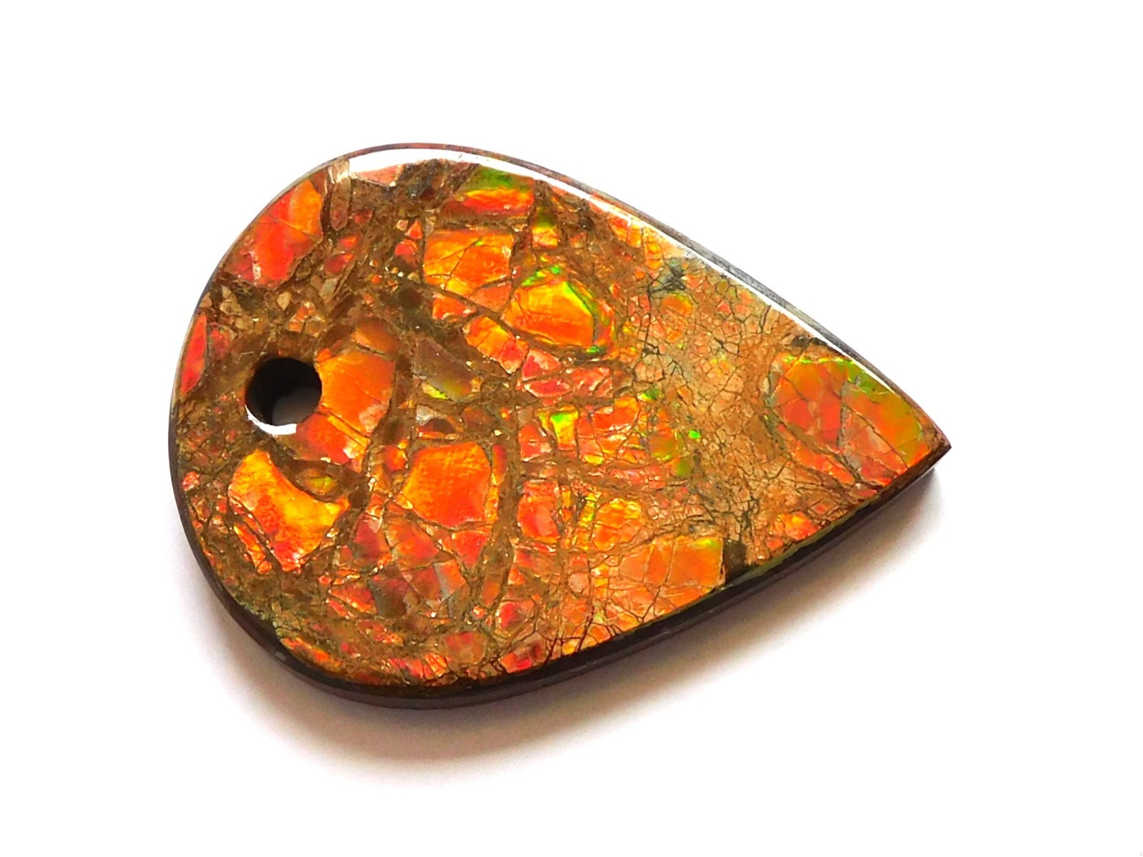 62.85 Ct Natural Canadian Ammolite Donut Gemstone 41.4X30.9X5MM KB50