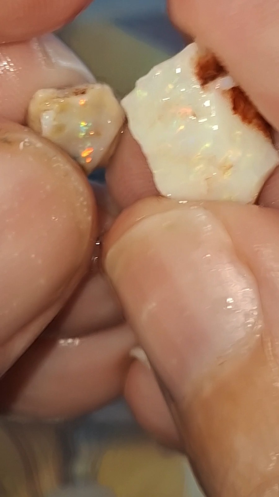 53ct Coober Pedy Opal rough. multicoloured multisized peices, good cutters