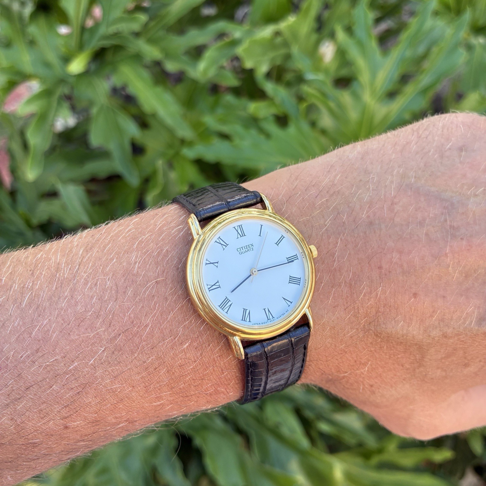 BEAUTIFUL Citizen Men’s Classic Dress Watch