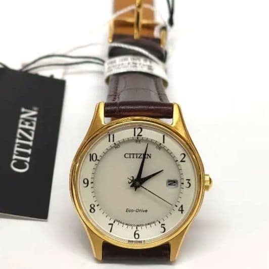 New CITIZEN Eco Drive ES0002 14P with Manufacturer’s Citizen Eco Drive Solar Ana