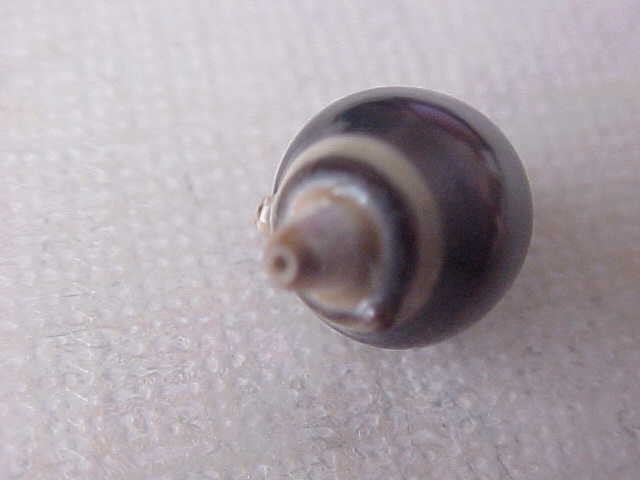 10.2MM X 14MM AAA GENUINE TAHITIAN PEARL HALFDRILLED #243