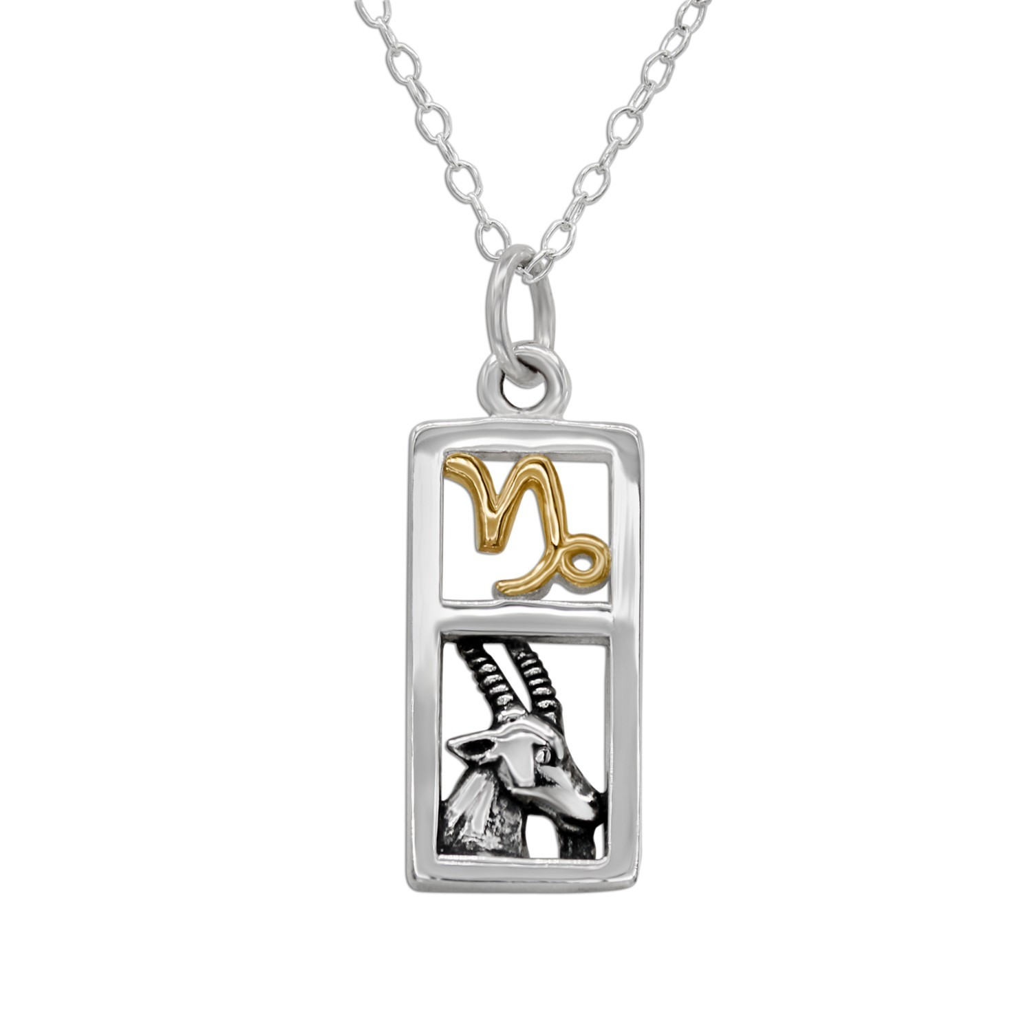 Capricorn Sign Sterling Silver Zodiac Pendant Charm Astrology Jewelry