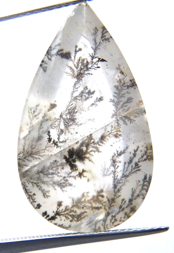 ip16 Dendrite Quartz 17.11ct 15x25x7mm pear shape picture stone garden branches