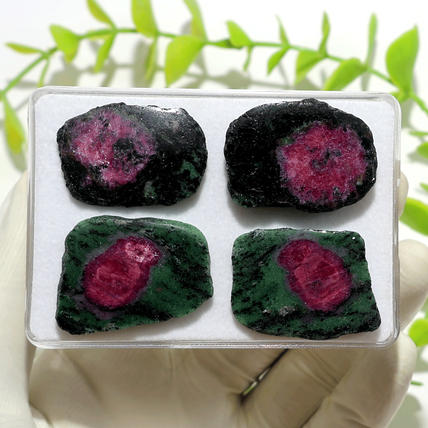 4 PC~ 2 Pairs Natural Ruby In Zoisite 32mm-35mm Matching Slices Gemstones Parcel