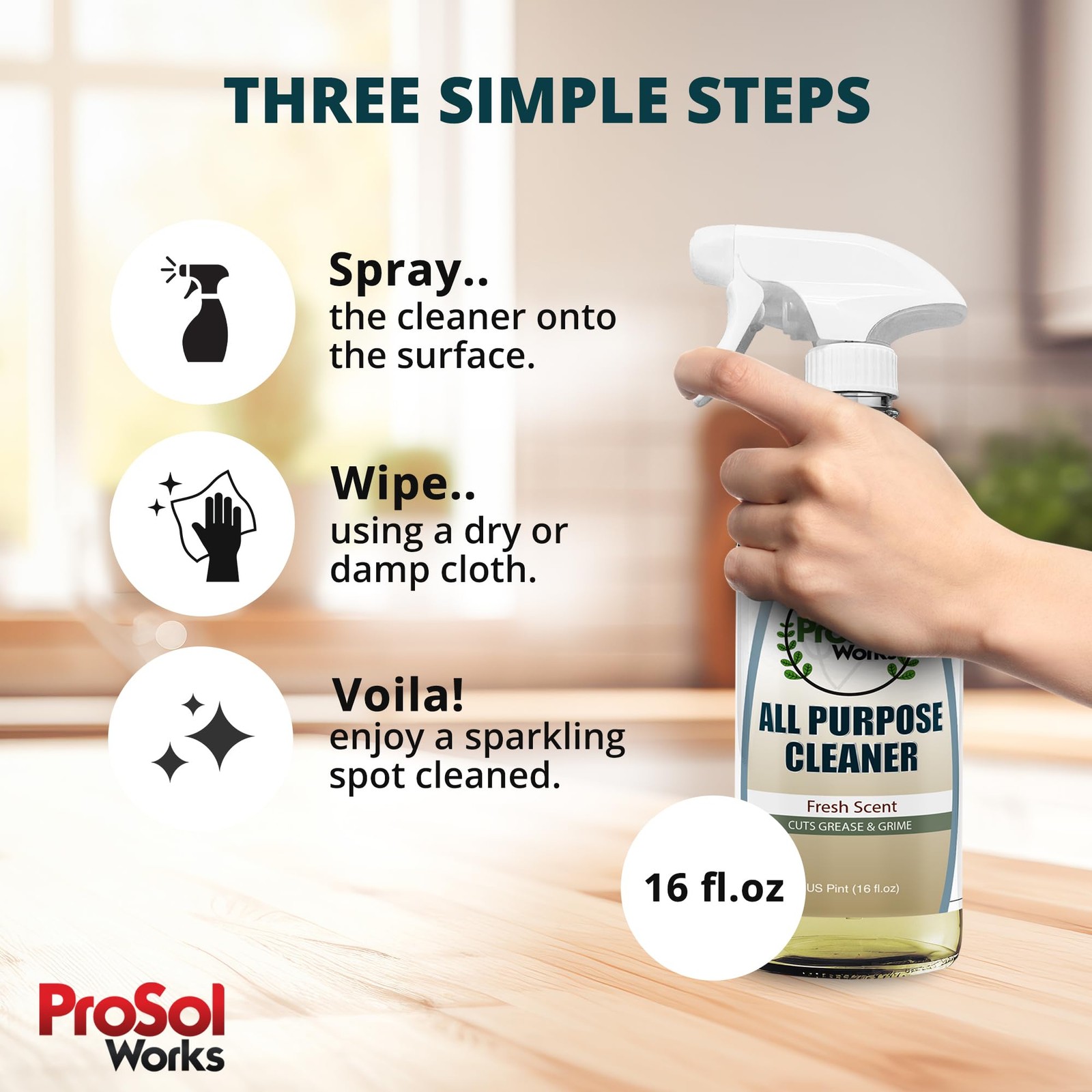 PROSOL WORKS All Purpose Cleaner Cleaning Spray 16 oz – 16 Fl Oz (Pack of 1)