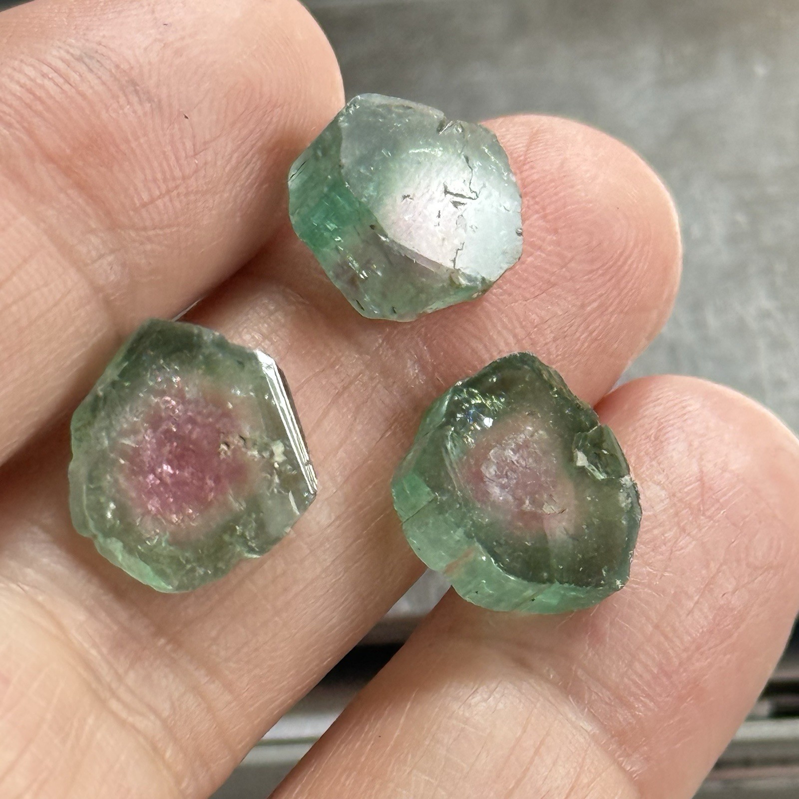 14ct 11-12×2.8-4.7mm 3pc Lot Pink Green Watermelon Tourmaline Slices Cabochons