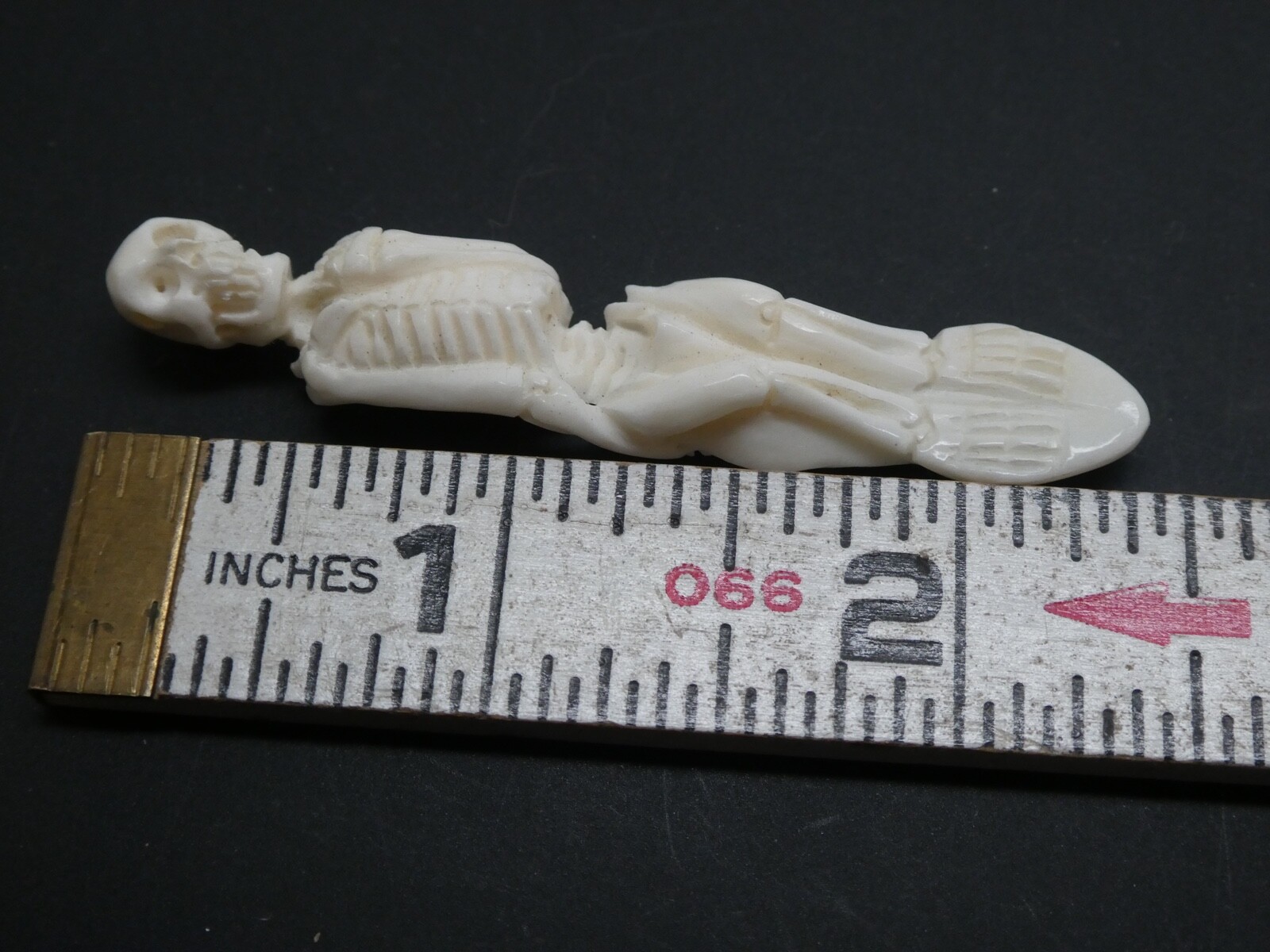 Skeleton Standing Double Sided Anatomical Natural Water Buffalo Bone Pendant