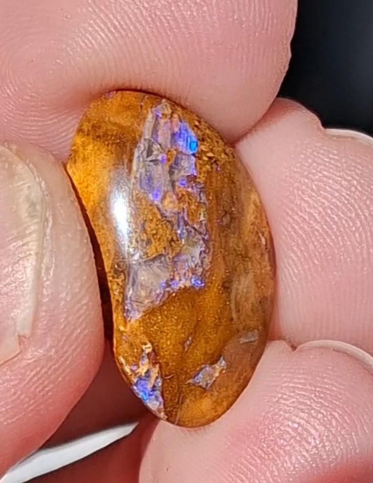 12.5ct Wood replacement Qld boulder opal. Vibrant iridescent blue & purple flash