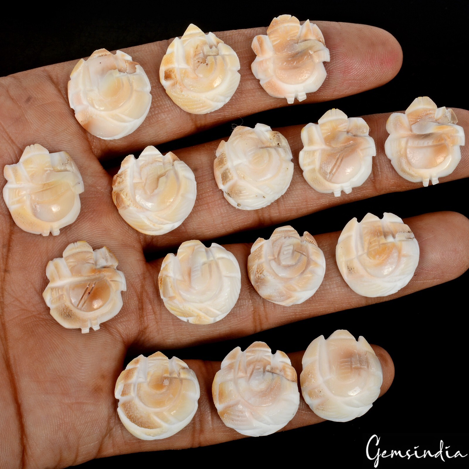 200 Cts/15 Pcs Natural Untreated Gomti Chakra Carved Ganesha Loose Gems Lot