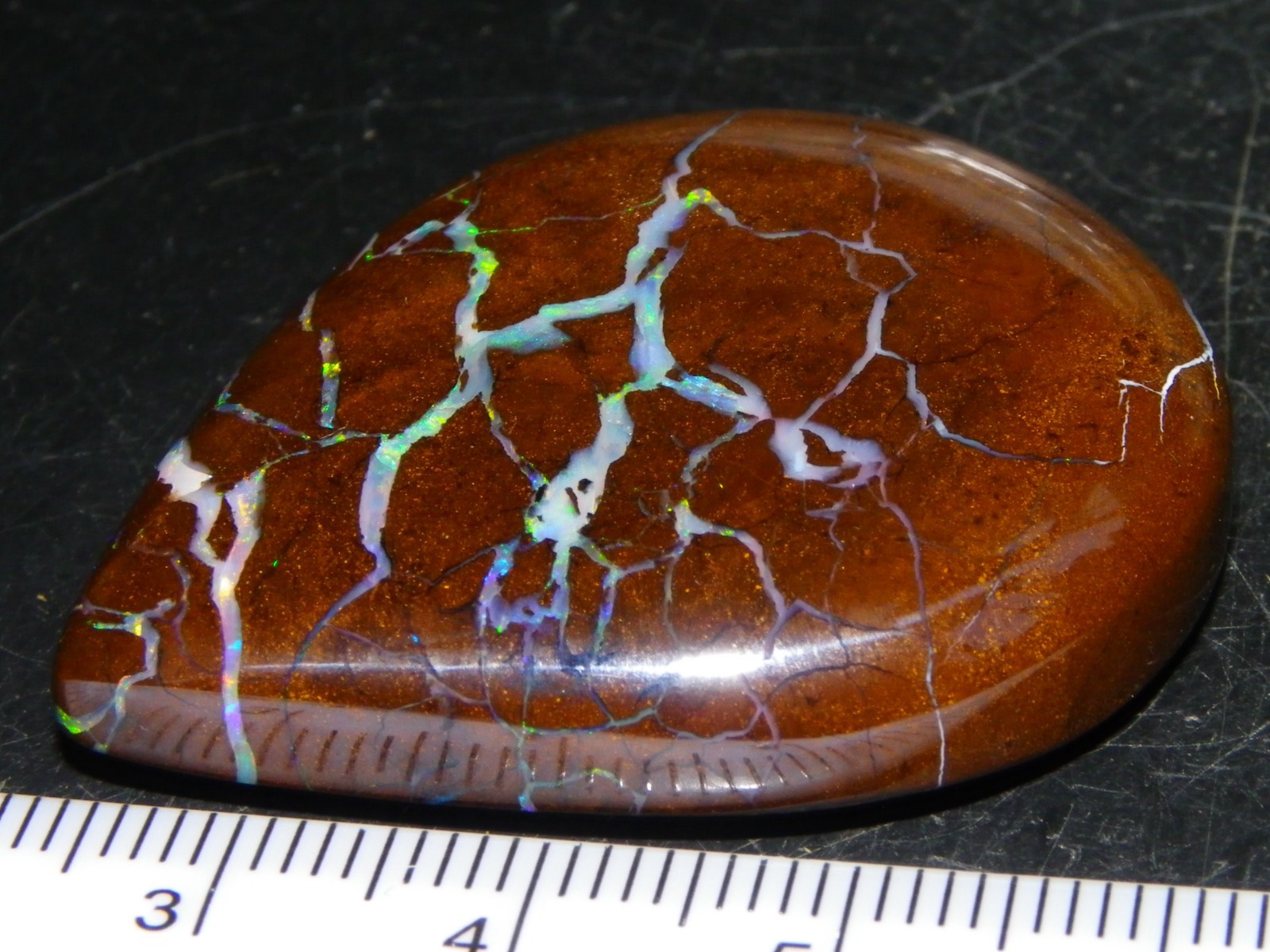 Quality Opalton Boulder Matrix Opal Freeform Cab 128.78cts Multicolour/Veins Qld